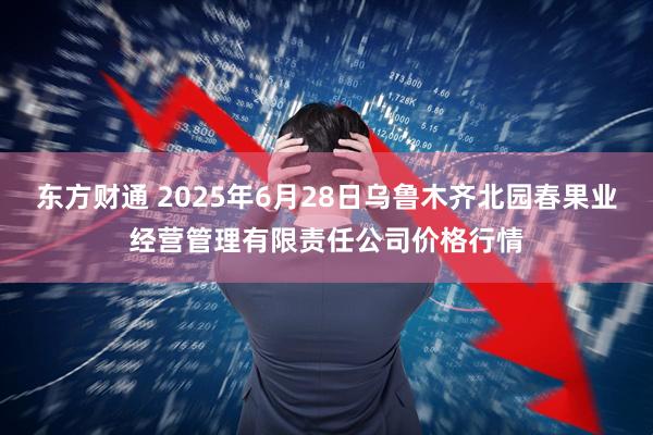 东方财通 2025年6月28日乌鲁木齐北园春果业经营管理有限责任公司价格行情
